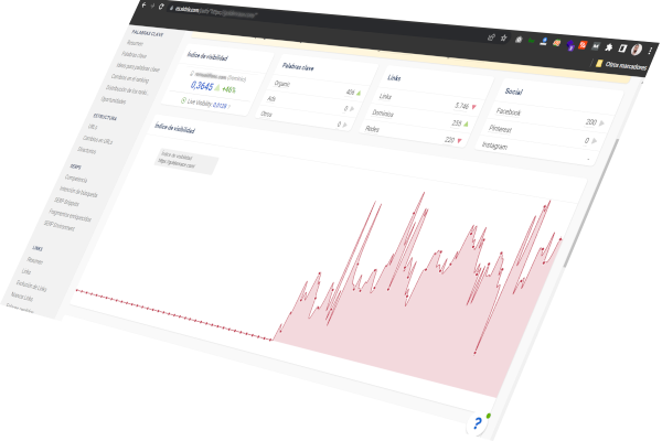 Datos de Consultor de SEO Tecnico