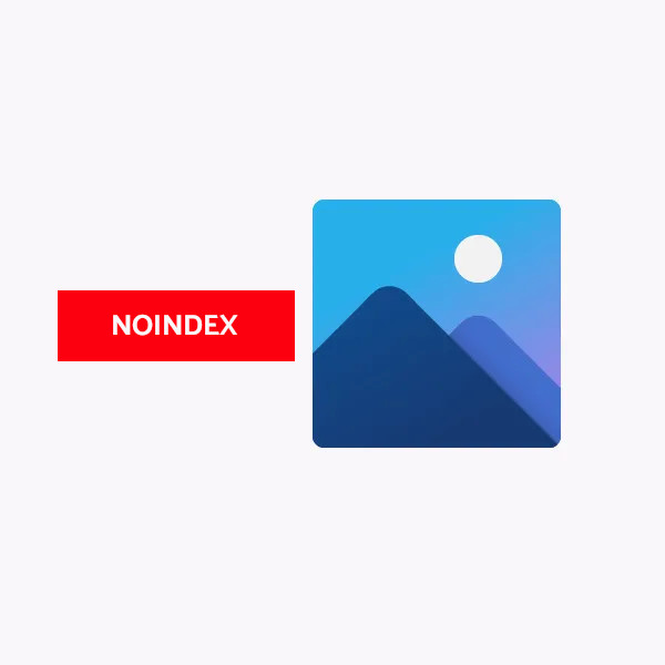 Evitar el indexado de imágenes