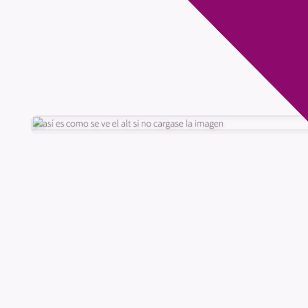Texto alternativo para imágenes